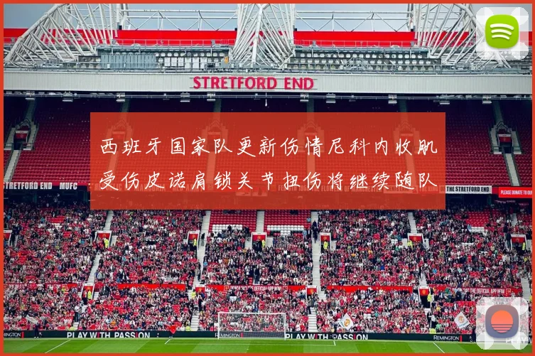 西班牙国家队更新伤情尼科内收肌受伤皮诺肩锁关节扭伤将继续随队训练
